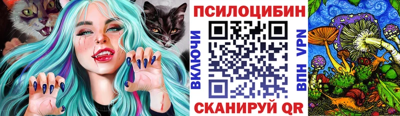 купить наркотик  Бодайбо  Галлюциногенные грибы мицелий 